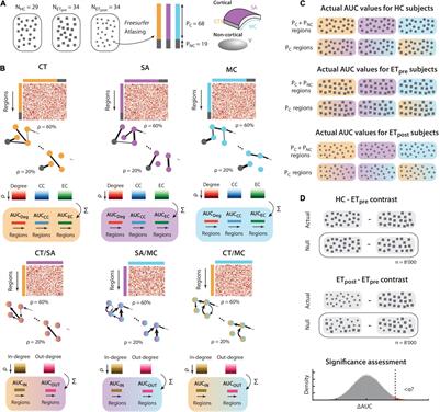<mark class="highlighted">Graph Theoretical Analysis</mark> of Structural Covariance Reveals the Relevance of Visuospatial and Attentional Areas in Essential Tremor Recovery After Stereotactic Radiosurgical Thalamotomy